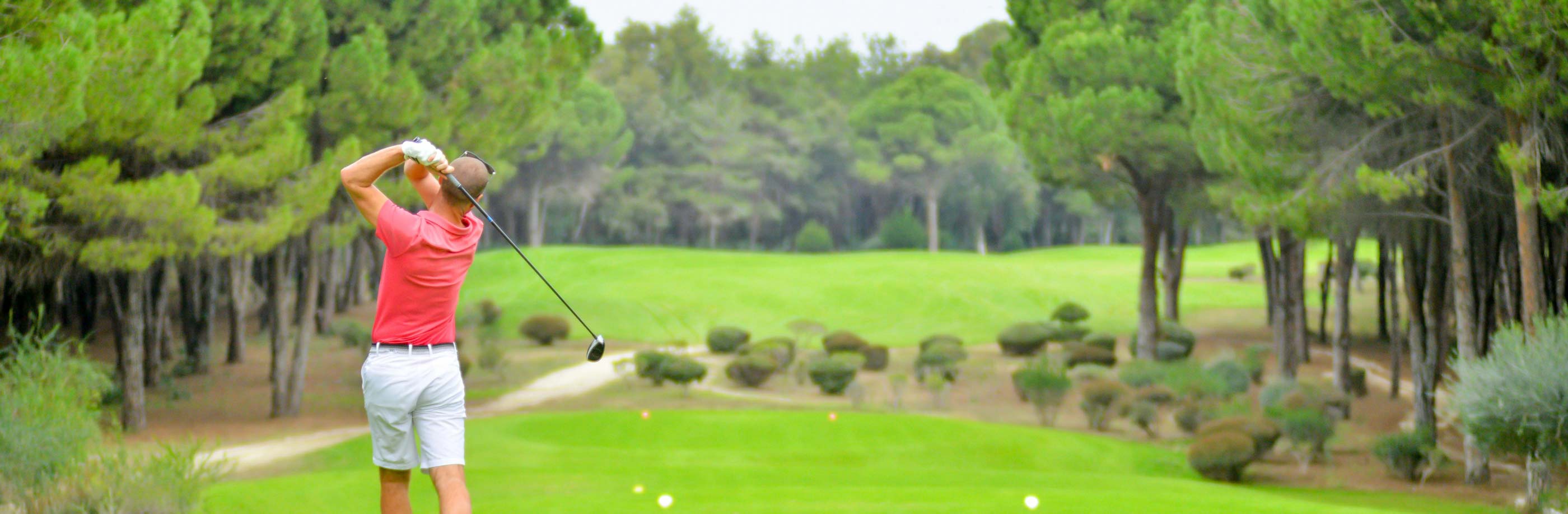 Man swinging a gold club on a green fairway